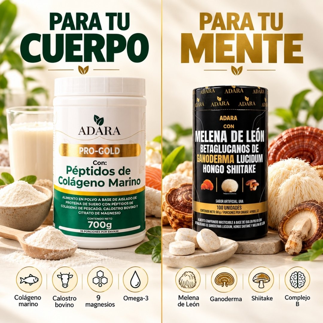 Kit Cuerpo + Mente | PRO GOLD + Melena de León
