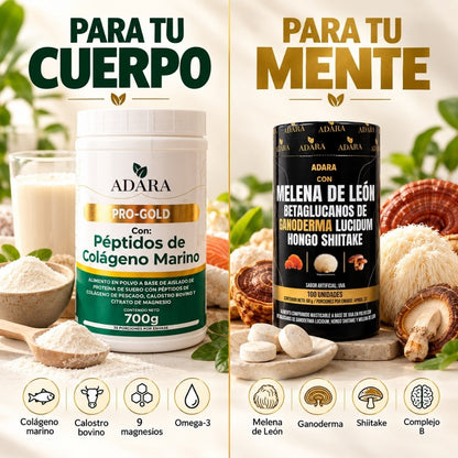 Kit Cuerpo + Mente | PRO GOLD + Melena de León